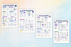 Biochemistry Study Notes &amp; Review Guide Product Image 3