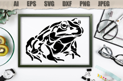 Stencil Frog Amphibian Product Image 3