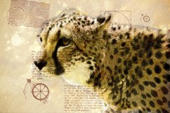 ANIMAL Printable Illustrations Pack # 15 graphics JPG Product Image 1
