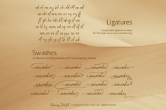 Alluring Delight Font | Feminine Elegant Swash Luxury Script Product Image 3