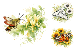 Watercolor Floral Moth Clipart Bundle Product Image 3