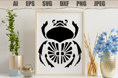 Stencil Beetle Insect Product Image 3