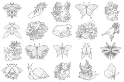 55 Cottagecore &amp; Fairycore Procreate Stamp Brushes Product Image 2