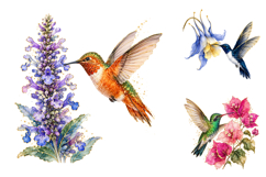 Watercolor Floral Hummingbird Clipart Bundle, Floral Gold Product Image 3