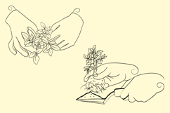 Elegant Hand Line Art: Gardening &amp; Flora Clipart 8 Elements Product Image 3