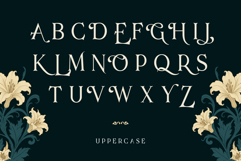Blades of Fortunes: Epic Medieval Display Typeface Product Image 3