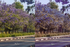 30 Blossom Lightroom Bundle Product Image 6