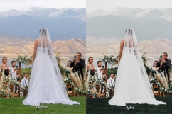 30 Bridal LUT Collection Product Image 5