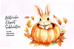 Cute bunny inside pumpkin fall watercolor clipart Product Image 1