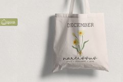 Birth Month December Flower Watercolor Clipart Sublimation Product Image 3