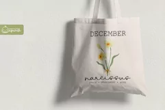 Birth Month December Flower Watercolor Clipart Sublimation Product Image 3
