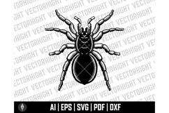 Spider Clipart SVG, Spider Shape Ai, Eps, Pdf, Dxf. Spider Product Image 5