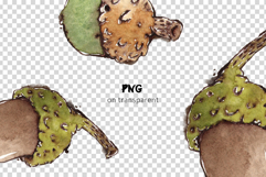 Acorns &amp; Leaves Seamless Watercolour Patterns Product Image 3