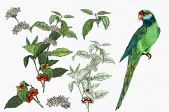 Rainforest jungle pattern with parrots Product Image 4