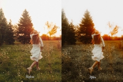 30 Golden Fall LUT Collection Product Image 2