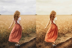 30 Harvest LUT Collection Product Image 3