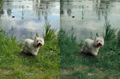 30 Heaven LUT Collection Product Image 2