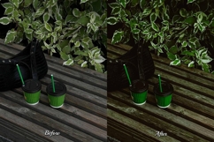 30 Mint Lightroom Collection Product Image 3