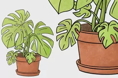 Potted Monstera PNG for sublimation or illustration Product Image 3