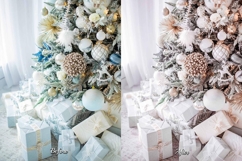 30 Presents Lightroom Bundle Product Image 3