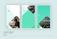 Elegant Corporate Instagram Post &amp; Story Template Product Image 4