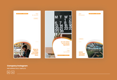 Elegant Company Instagram Post &amp; Story Template Product Image 4