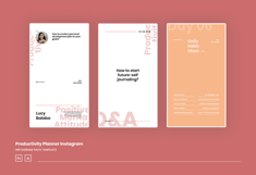 Productivity Planner Instagram Post &amp; Story Template Product Image 4