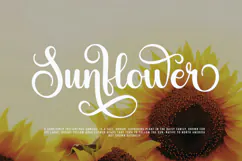 Northpath - Swirl Calligraphy Font Product Image 4