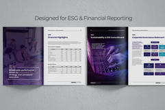 Professional Annual Report Template Product Image 3
