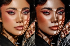 30 Silver LUT Collection Product Image 3