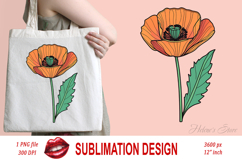 Wild flower poppy clipart |Vintage Summer flower graphics Product Image 1