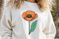 Wild flower poppy clipart |Vintage Summer flower graphics Product Image 3