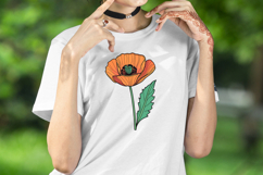 Wild flower poppy clipart |Vintage Summer flower graphics Product Image 5