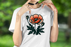 Wild flower poppy clipart |Vintage Summer flower graphics Product Image 4