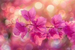 Branch of bougainvillea glabra blooming with pink flowers Product Image 1