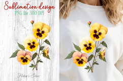 Summer flowers sublimation design png | Cute pansy clipart Product Image 1