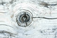 Wooden Digital Paper Textures Product Image 7