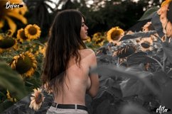 7 Minimal Grey Lightroom Presets Product Image 5