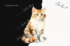 Watercolor Ginger Cat Clipart | Animal Clipart Product Image 2