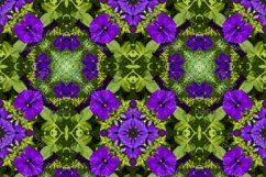 12 abstract Seamless colorful FLOWER patterns pack. Product Image 9