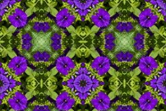 12 abstract Seamless colorful FLOWER patterns pack. Product Image 9