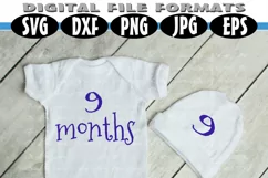 Baby Shirt Months 1-12 for Growing Pictures Product Image 3