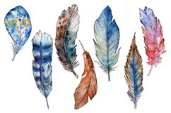 Feather PNG watercolor bird set Product Image 2