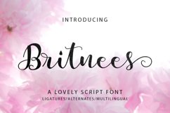 The Authentic Script Font Bundle Product Image 20