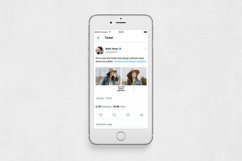 Lifestyle Twitter Posts Product Image 6