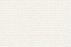 Ornamental seamless patterns. Product Image 4