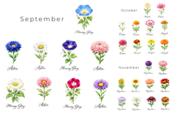 134 Watercolor Birth Month Flowers PNG Bundle Product Image 4