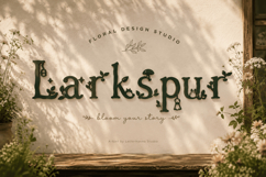 Holwyn Dream: A Magical Font with Whimsical Typeface Charm Product Image 4