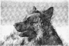 Printable Dog Graphics Pack #16 JPG 300 dpi Illustration Product Image 1