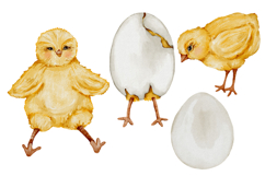 Chicken watercolor clipart PNG Product Image 4